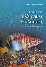 Η ζωή στις ελληνικές θάλασσες και τη μεσόγειο -