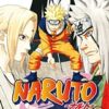 Naruto: Διάδοχος -