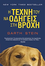 Η τέχνη του να οδηγείς στη βροχή -
