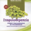 Σταφυλοθεραπεία - Σταθμός σταφυλοθεραπείας και φυσιοθεραπείας: Εφαρμογή και αποτελέσματα της φυσιοθεραπείας
