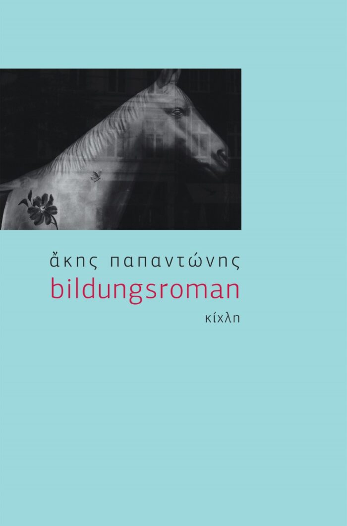 Bildungsroman -